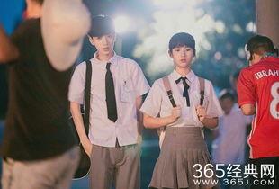 全力青春电影在线观看  第1张